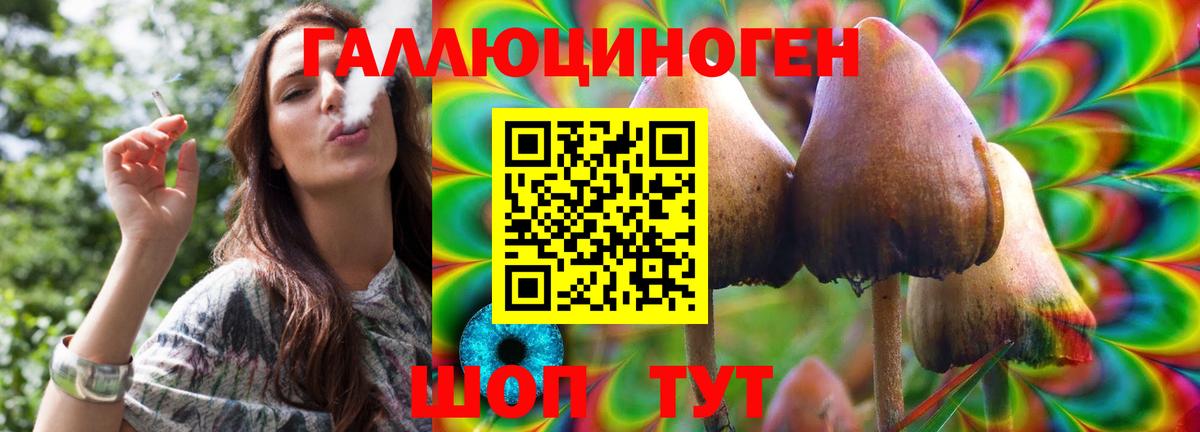Псилоцибиновые грибы Psilocybe  Вход с VPN  Железноводск 