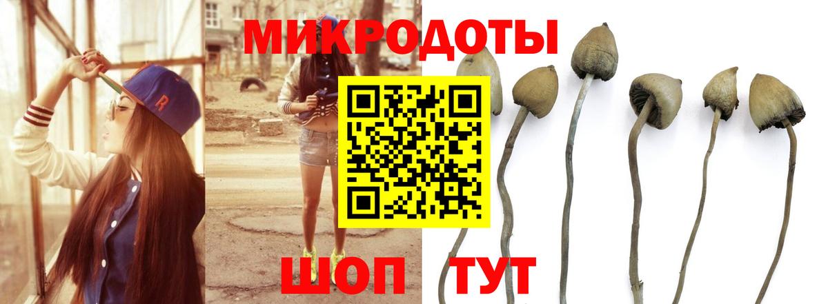 Галлюциногенные грибы мухоморы Железноводск
